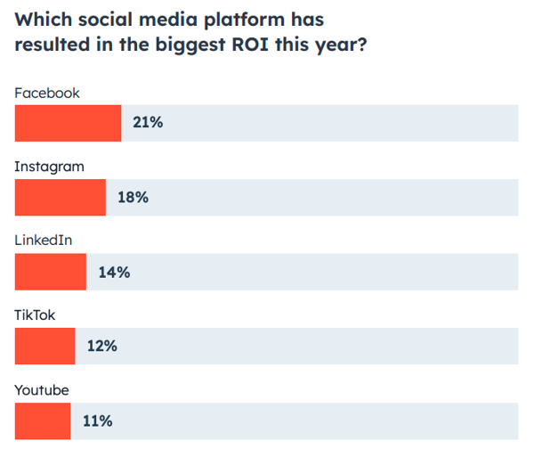Which social media platform has resulted in the biggest ROI this year